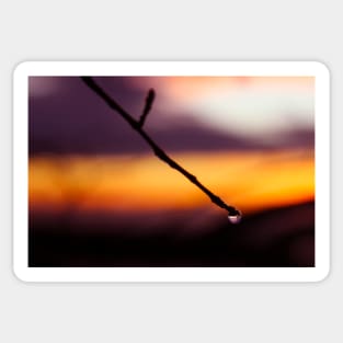 A drop of rain on a fall sunset background Sticker